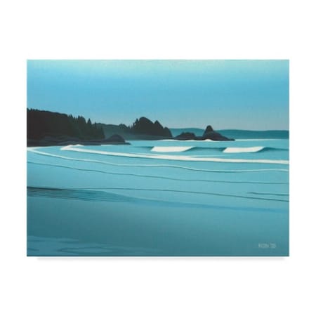 Ron Parker 'Cox Bay Headland' Canvas Art,18x24